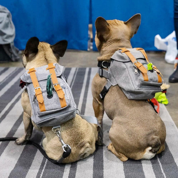 Small Dog Personal Backpack Small And Medium-sized Dog Bag